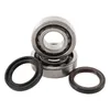 Hot Rods Main Bearings and Seal Kit for