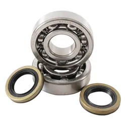 Hot Rods Main Bearings and Seal Kit for