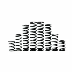 ZBROZ Dual Rate Shock Spring Kit
