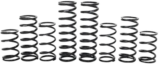 ZBROZ Dual Rate Shock Spring Kit wWalker Evans