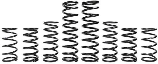 ZBROZ Dual Rate Shock Spring Kit w Fox Live