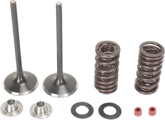 Moose F.E.A. Stainless Steel Valve and Spring Intake Kit w Seals