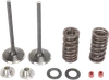 Moose F.E.A. Stainless Steel Valve and Spring Intake Kit w Seals