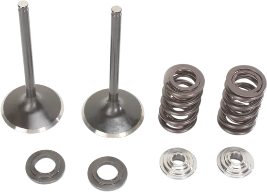 Moose F.E.A. Stainless Steel Valve and Spring Intake Kit