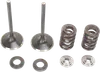 Moose F.E.A. Stainless Steel Valve and Spring Intake Kit