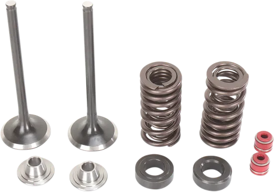 Moose Stainless Steel Valve and Spring Exhaust Kit w Seals