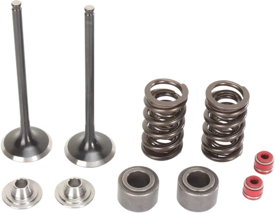 Moose Stainless Steel Valve and Spring Exhaust Kit w Seals