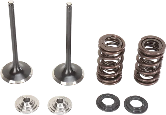 Moose Stainless Steel Valve and Spring Exhaust Kit w Seals