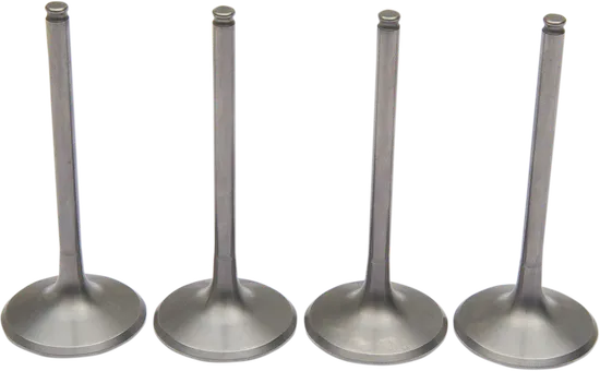 Moose F.E.A. Stainless Titanium Intake & Exhaust Pro Valve Kit