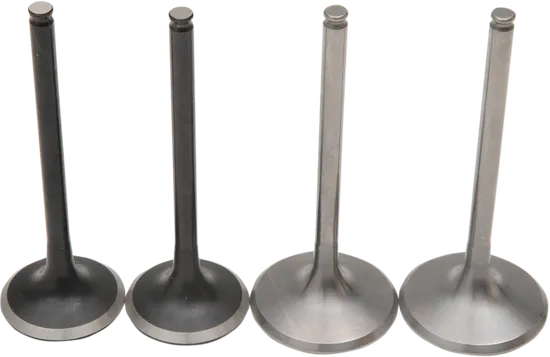 Moose Engine Intake and Exhaust Pro Valve Kit