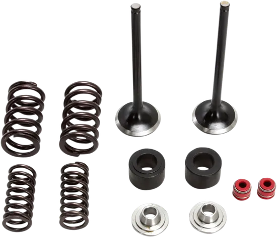 Moose Stainless Steel Valve and Spring Exhaust Kit w Seals