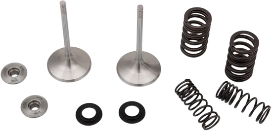 Moose F.E.A. Stainless Steel Valve and Spring Intake Kit