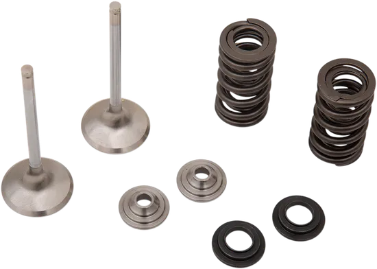 Moose Stainless Steel Valve and Spring Exhaust Kit w Seals 3