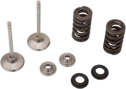 Moose Stainless Steel Valve and Spring Exhaust Kit w Seals