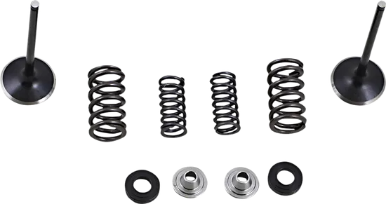 Moose F.E.A. Stainless Steel Valve and Spring Intake Kit