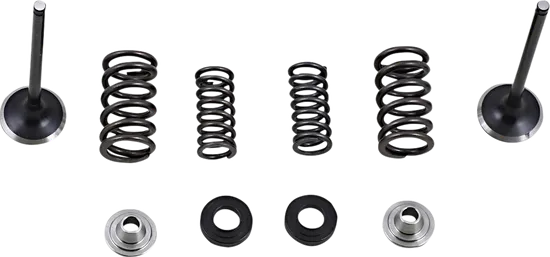 Moose Stainless Steel Valve and Spring Exhaust Kit w Seals