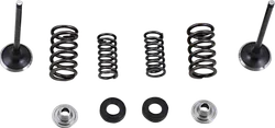 Moose Stainless Steel Valve and Spring Exhaust Kit w Seals