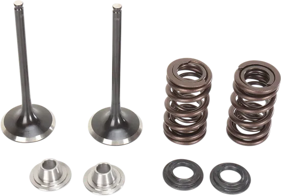 Moose F.E.A. Stainless Steel Valve and Spring Intake Kit