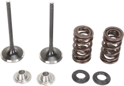 Moose F.E.A. Stainless Steel Valve and Spring Intake Kit
