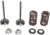Moose F.E.A. Stainless Steel Valve and Spring Intake Kit