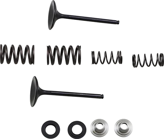 Moose F.E.A. Stainless Steel Valve and Spring Intake Kit