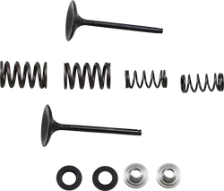 Moose F.E.A. Stainless Steel Valve and Spring Intake Kit