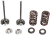 Moose F.E.A. Stainless Steel Valve and Spring Intake Kit