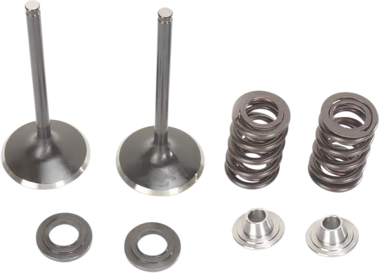 Moose Stainless Steel Valve and Spring Exhaust Kit w Seals