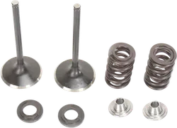 Moose Stainless Steel Valve and Spring Exhaust Kit w Seals