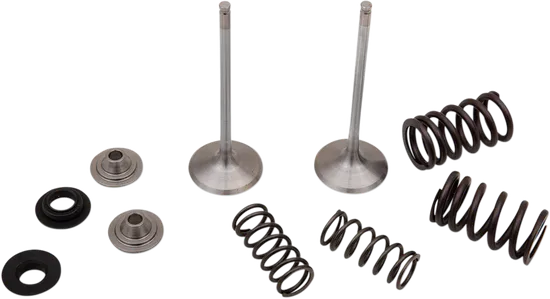 Moose F.E.A. Stainless Steel Valve and Spring Intake Kit