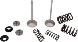 Moose F.E.A. Stainless Steel Valve and Spring Intake Kit
