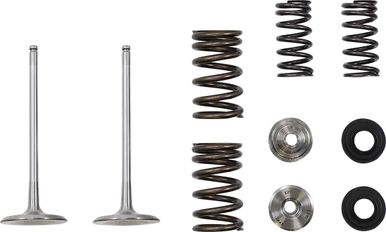 Moose Engine Intake Valve for Kawasaki KX250