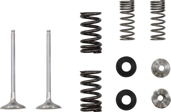 Moose Steel Engine Exhaust Valve For KX250F 1