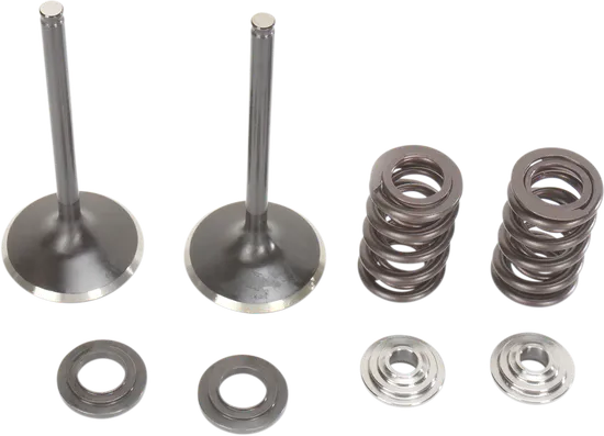Moose F.E.A. Stainless Steel Valve and Spring Intake Kit