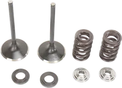 Moose F.E.A. Stainless Steel Valve and Spring Intake Kit