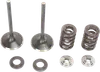 Moose F.E.A. Stainless Steel Valve and Spring Intake Kit