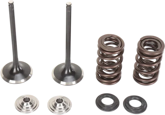 Moose F.E.A. Stainless Steel Valve and Spring Intake Kit