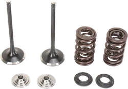 Moose F.E.A. Stainless Steel Valve and Spring Intake Kit