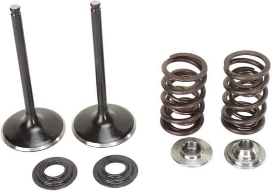 Moose F.E.A. Stainless Steel Valve and Spring Intake Kit 1