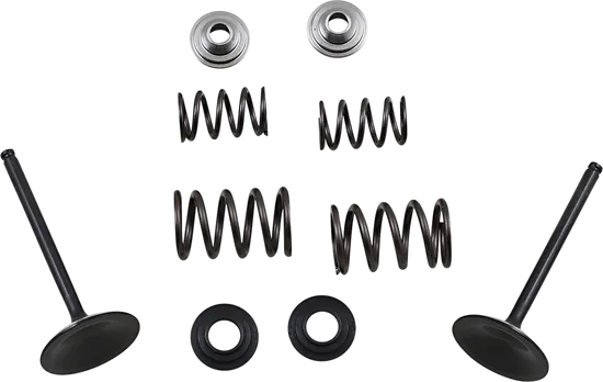 Moose F.E.A. Stainless Steel Valve and Spring Intake Kit 2
