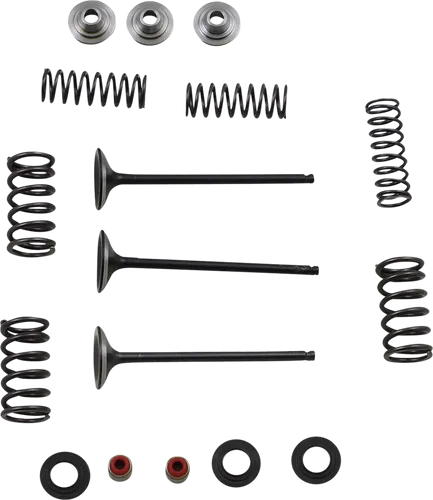 Moose F.E.A. Stainless Steel 3-Valve and Spring Intake Kit