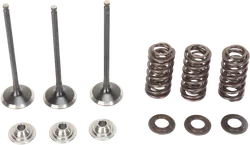 Moose F.E.A. Stainless Steel 3-Valve and Spring Intake Kit