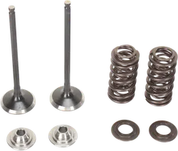 Moose Stainless Steel Valve and Spring Exhaust Kit w Seals