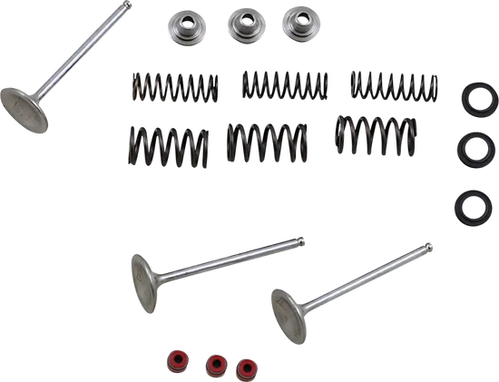Moose F.E.A. Stainless Steel 3 Valve and Spring Intake Kit w Seals