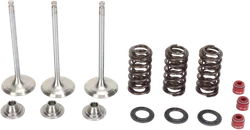 Moose F.E.A. Stainless Steel 3 Valve and Spring Intake Kit w Seals