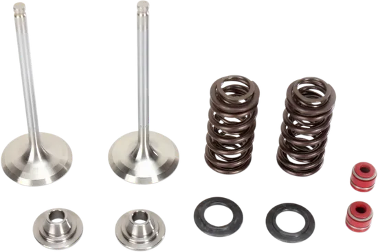 Moose Stainless Steel Valve and Spring Exhaust Kit w Seals