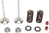 Moose Stainless Steel Valve and Spring Exhaust Kit w Seals