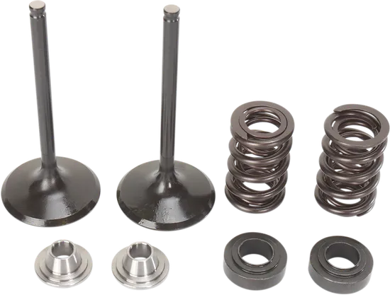 Moose F.E.A. Stainless Steel Valve and Spring Intake Kit