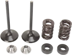 Moose F.E.A. Stainless Steel Valve and Spring Intake Kit