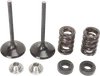 Moose F.E.A. Stainless Steel Valve and Spring Intake Kit